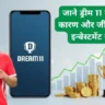 ड्रीम 11 सही इन्वेस्टमेंट स्ट्रेटजी
